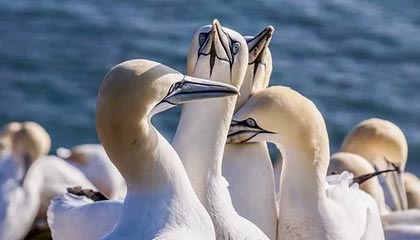 快钱pos机费率能调整么？