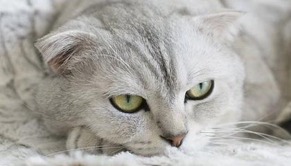 开店宝pos机刷卡连接失败是什么原因？