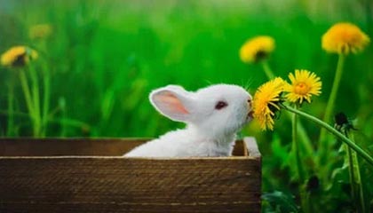 鸿pos机刷卡一直不到账怎么办？